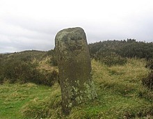 <b>Face Stone</b>Posted by fitzcoraldo