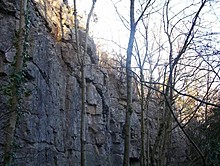 <b>Warton Crag</b>Posted by treehugger-uk