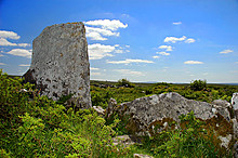 <b>County Clare</b>Posted by CianMcLiam