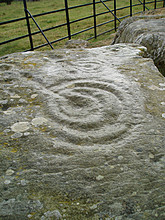 <b>Drumtroddan Carved Rocks</b>Posted by pebblesfromheaven
