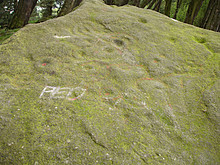 <b>Willy Hall's Wood Stone</b>Posted by David Raven