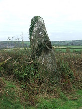 <b>Llanfyrnach stone A</b>Posted by postman