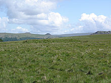 <b>Ringmoor Down cairns</b>Posted by Lubin