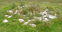 <b>Long Cairn</b>Posted by wideford