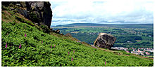 <b>Cow and Calf Rocks</b>Posted by Darksidespiral