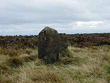 <b>The Twelve Apostles of Ilkley Moor</b>Posted by Alchemilla