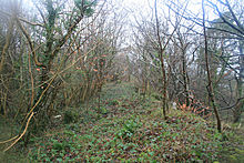 <b>Pen Dinas camp</b>Posted by postman