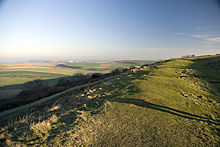 <b>Cissbury Ring</b>Posted by A R Cane