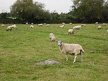 <b>Coate Stone Circle</b>Posted by Chance