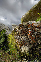 <b>Baltinglass Hill - Tombs</b>Posted by CianMcLiam