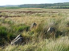 <b>Gibbet Moor North</b>Posted by Chris Collyer
