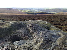 <b>Harland Edge cup marked rock</b>Posted by juamei