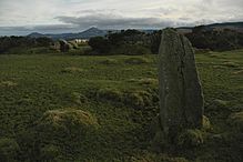 <b>Newtown Hill Standing Stone</b>Posted by ryaner