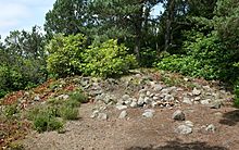 <b>Cragside Cairn</b>Posted by mascot
