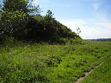 <b>Conygar Hill</b>Posted by formicaant