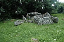 <b>Lough Gur Wedge Tomb</b>Posted by ryaner