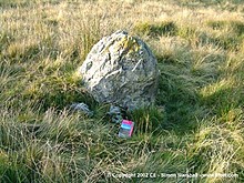 <b>Disgwylfa Fach Stone</b>Posted by Kammer