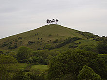 <b>Colmer's Hill</b>Posted by formicaant