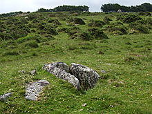 <b>Chittaford Cairn and Cist</b>Posted by Mr Hamhead