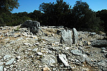 <b>Bois des Geants - dolmen 1</b>Posted by Moth