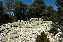 <b>Bois des Geants - dolmen 1</b>Posted by Moth