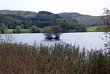 <b>Loch Ederline</b>Posted by IronMan