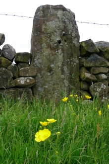 <b>Nine Stones Close standing stone</b>Posted by thesweetcheat