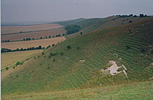 <b>Golden Ball Hill</b>Posted by GLADMAN