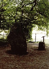 <b>The Nine Stones of Winterbourne Abbas</b>Posted by pure joy