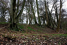 <b>Pulpit Hill Camp</b>Posted by GLADMAN