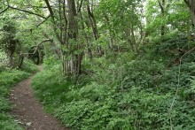 <b>Llanymynech Hill</b>Posted by thesweetcheat