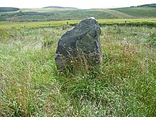 <b>Moray Stone</b>Posted by drewbhoy