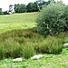 <b>Owain Glyndwr's Mount</b>Posted by postman