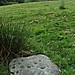 <b>Owain Glyndwr's Mount</b>Posted by postman