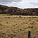 <b>Strontoiller Stone Circle</b>Posted by hamish