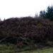 <b>The Beacons (Llantrisant)</b>Posted by thesweetcheat