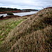 <b>Sully Island</b>Posted by GLADMAN