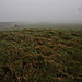 <b>Nash Point</b>Posted by GLADMAN