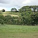 <b>Old Sarum</b>Posted by Chance