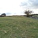 <b>Green Low Barrow</b>Posted by Emma A