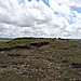 <b>Godrevy Barrow</b>Posted by thesweetcheat