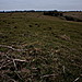 <b>Lechmore Round Barrows</b>Posted by GLADMAN