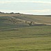 <b>West Down Gallops Barrows</b>Posted by Chance