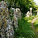 <b>The Rollright Stones</b>Posted by Meic