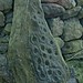 <b>Baildon Stone 1 (Dobrudden)</b>Posted by Chris Collyer