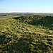 <b>White Horse Barrow</b>Posted by Chance