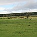 <b>Holywell, Circle, Barrow and Linear Earthworks</b>Posted by postman