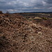 <b>Iping Common</b>Posted by GLADMAN