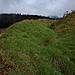 <b>Dunmore Hill</b>Posted by GLADMAN