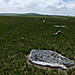 <b>Louden Stone Circle</b>Posted by thesweetcheat